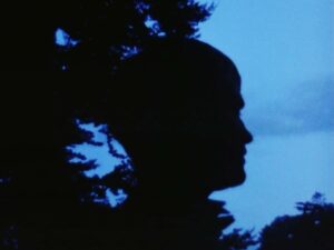 the celebration cinematography by anthony dod mantle day extreme close up backlight shot 062