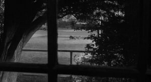 the last picture show cinematography by robert surtees night establishing shot silhouette artificial light shot 035