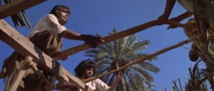 the message cinematography by jack hildyard day close up shot 026