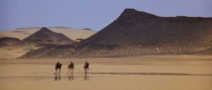 the message cinematography by jack hildyard day establishing shot daylight shot 061