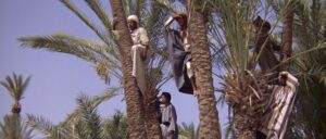 the message cinematography by jack hildyard day wide shot establishing shot side lighting daylight shot 050