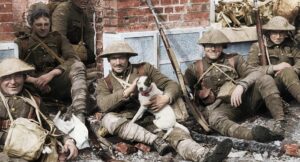 they shall not grow old cinematography by peter jackson day close up three shot hard light daylight shot 035