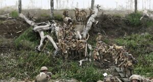 they shall not grow old cinematography by peter jackson day establishing shot hard light daylight shot 010