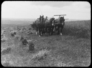 they shall not grow old cinematography by peter jackson day establishing shot sunny shot 006