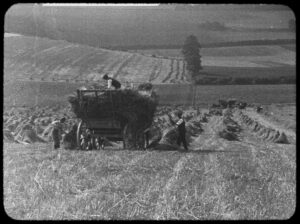 they shall not grow old cinematography by peter jackson exterior day establishing shot backlight daylight shot 062