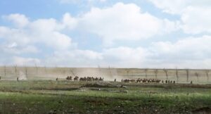 they shall not grow old cinematography by peter jackson exterior day establishing shot hard light sunny shot 025