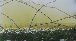 they shall not grow old cinematography by peter jackson exterior day establishing shot hard light sunny shot 027