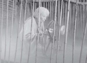 throne of blood cinematography by asakazu nakai day establishing shot overcast shot 064