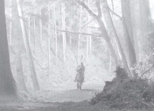 throne of blood cinematography by asakazu nakai day wide shot establishing shot daylight shot 012