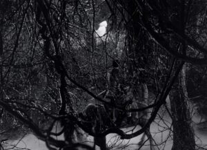 throne of blood cinematography by asakazu nakai establishing shot silhouette artificial light shot 013