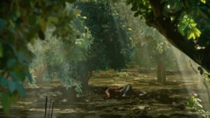 waltz with bashir cinematography by ari folman day establishing shot shot 023