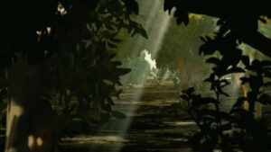 waltz with bashir cinematography by ari folman night establishing shot artificial light shot 049