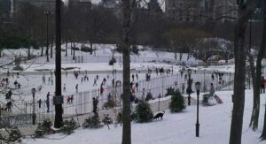 when harry met sally cinematography by barry sonnenfeld day establishing shot hard light daylight shot 038