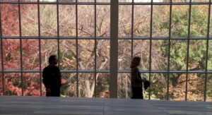 when harry met sally cinematography by barry sonnenfeld day wide shot establishing shot backlight daylight shot 024