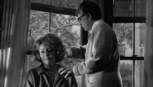 whos afraid of virginia woolf cinematography by haskell wexler day close up hard light shot 028