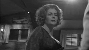 whos afraid of virginia woolf cinematography by haskell wexler day close up shot 058