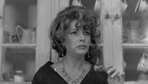 whos afraid of virginia woolf cinematography by haskell wexler day extreme close up daylight shot 044