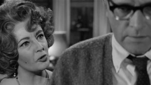 whos afraid of virginia woolf cinematography by haskell wexler day extreme close up daylight shot 057