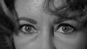 whos afraid of virginia woolf cinematography by haskell wexler day extreme close up hard light daylight shot 072