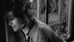 whos afraid of virginia woolf cinematography by haskell wexler day extreme close up shot 015