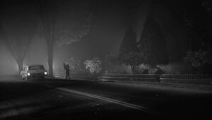 whos afraid of virginia woolf cinematography by haskell wexler exterior night two shot moonlight shot 027