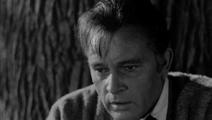 whos afraid of virginia woolf cinematography by haskell wexler extreme close up moonlight shot 053