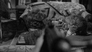 whos afraid of virginia woolf cinematography by haskell wexler interior day establishing shot shot 066