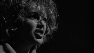 whos afraid of virginia woolf cinematography by haskell wexler night establishing shot moonlight shot 013